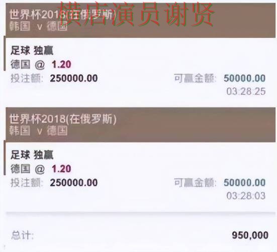 世界杯官方信息期间热门世界杯投注平台推荐深度评测与速度测试分析